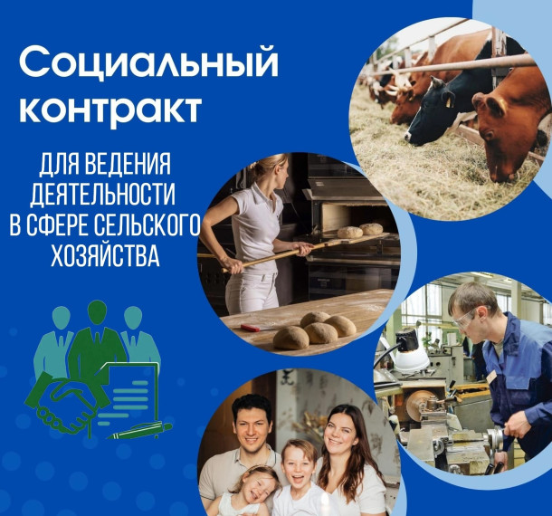 Направления по заключению социального контракта. Направления по заключению социального контракта.